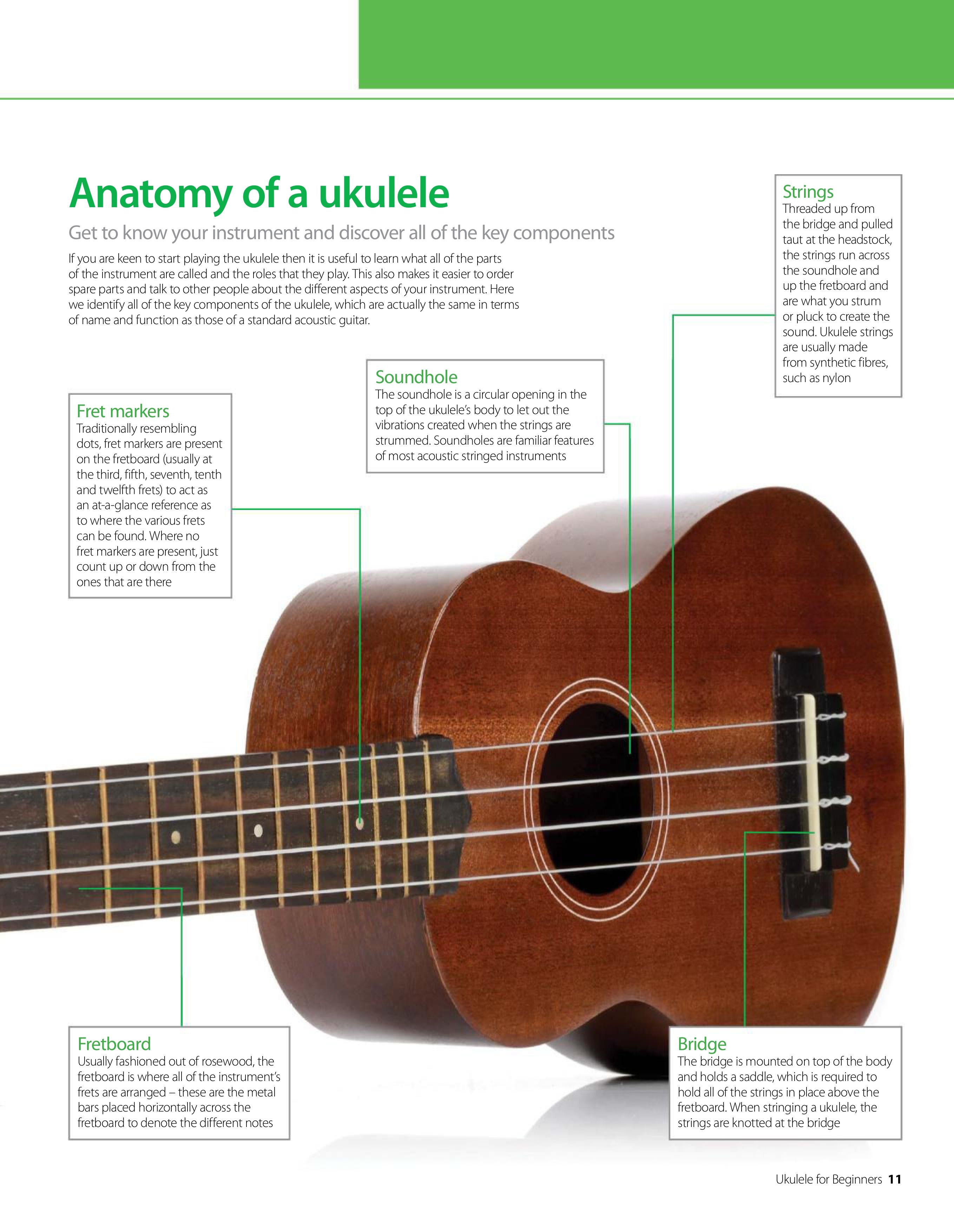 UKULELE FOR BEGINNERS